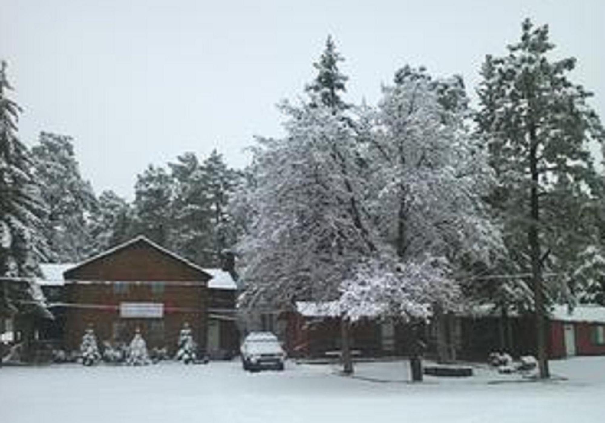 Alloggio in famiglia Lumbermen's Village *